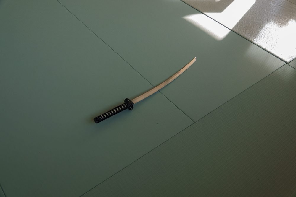 Entraînement au dojo Goshindo To Kenko