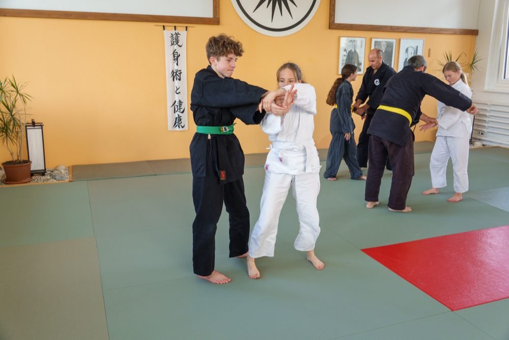 Entraînement au dojo Goshindo To Kenko